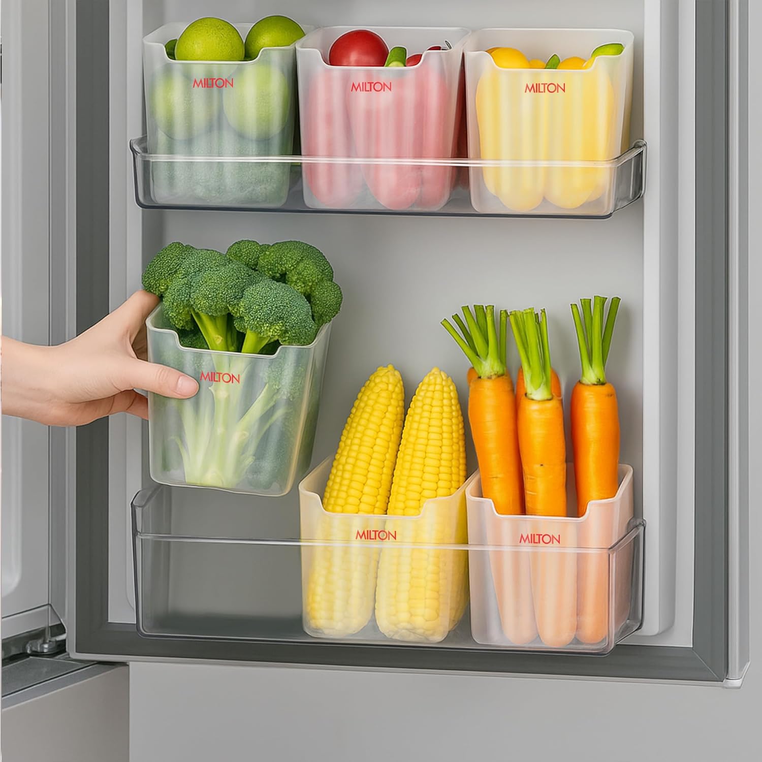 Cryo Fridge Storage Containers for Door – Set of 6 (Milton)