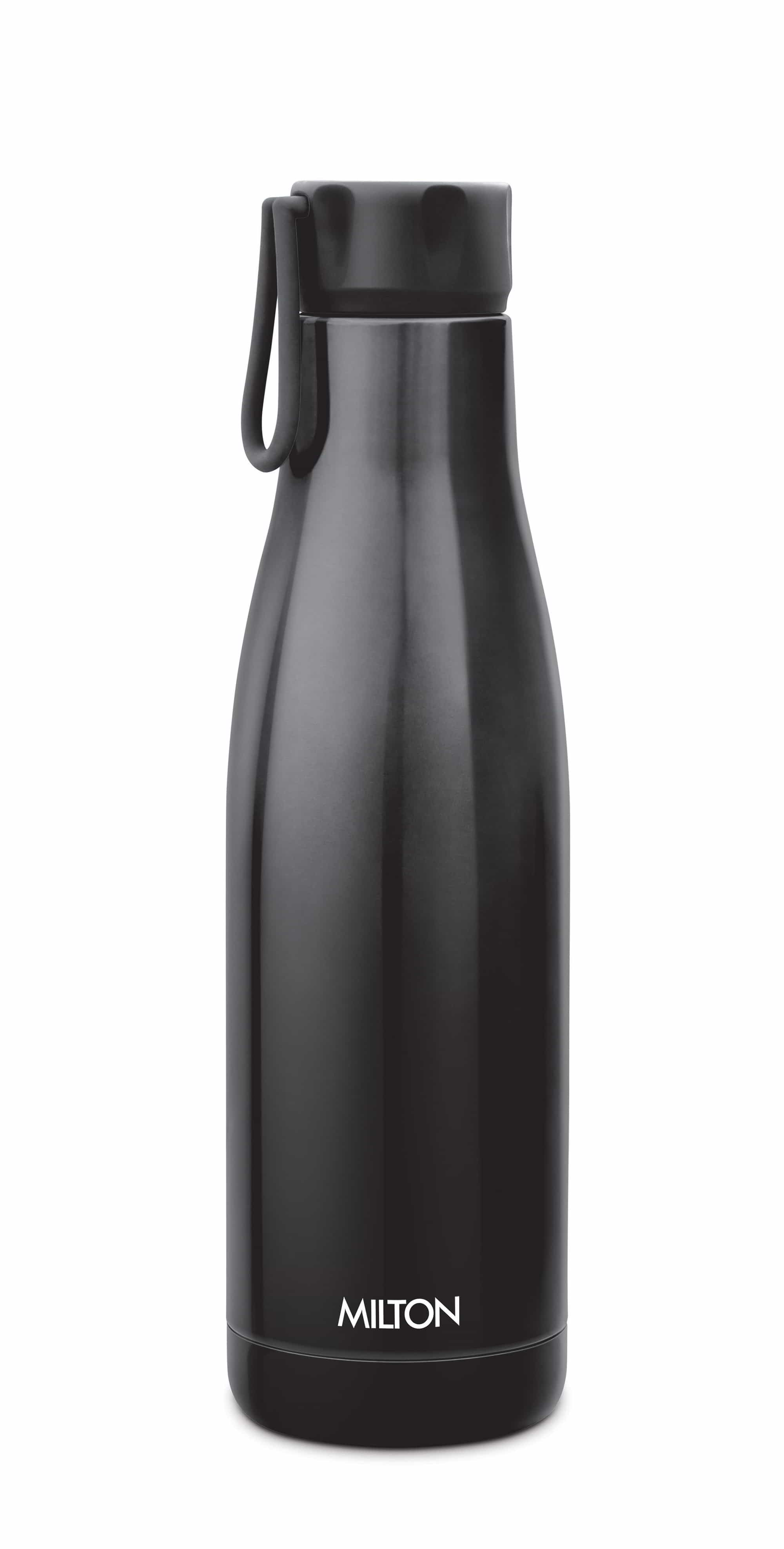 Fame Thermosteel Bottle (Milton)