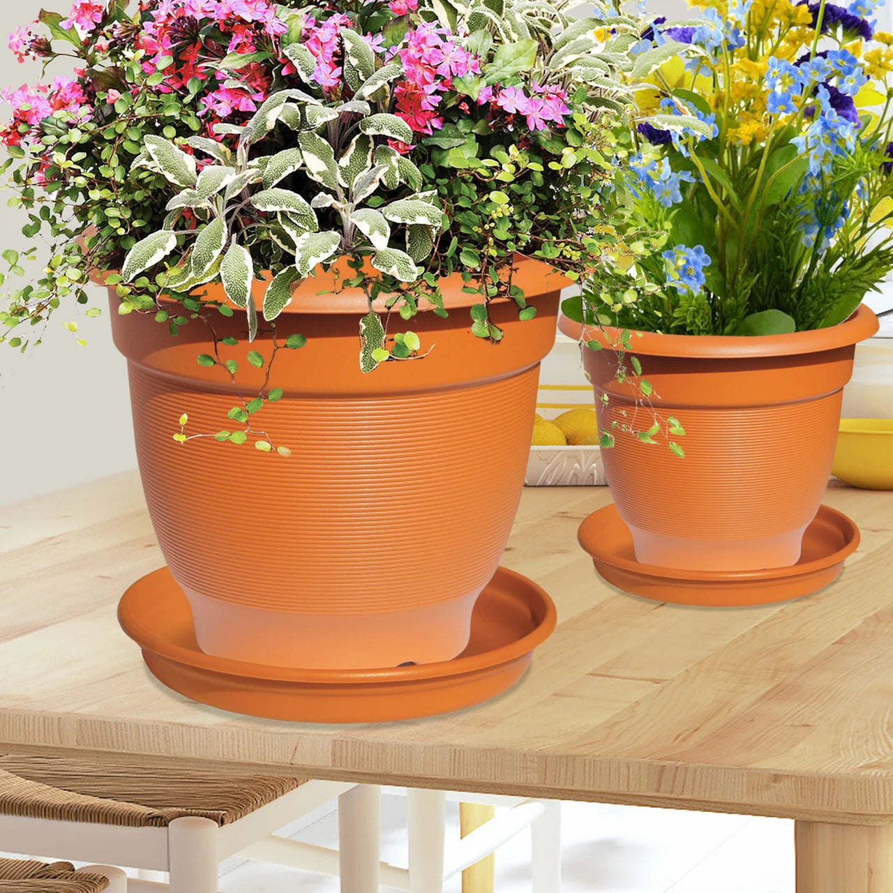 Blossom Mate Tray 3 (Milton) - CL Sale