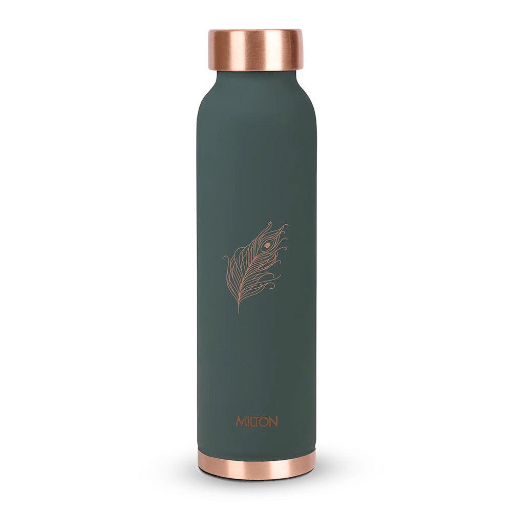 {890 ml  | Teal Blue - Peacock Feather}