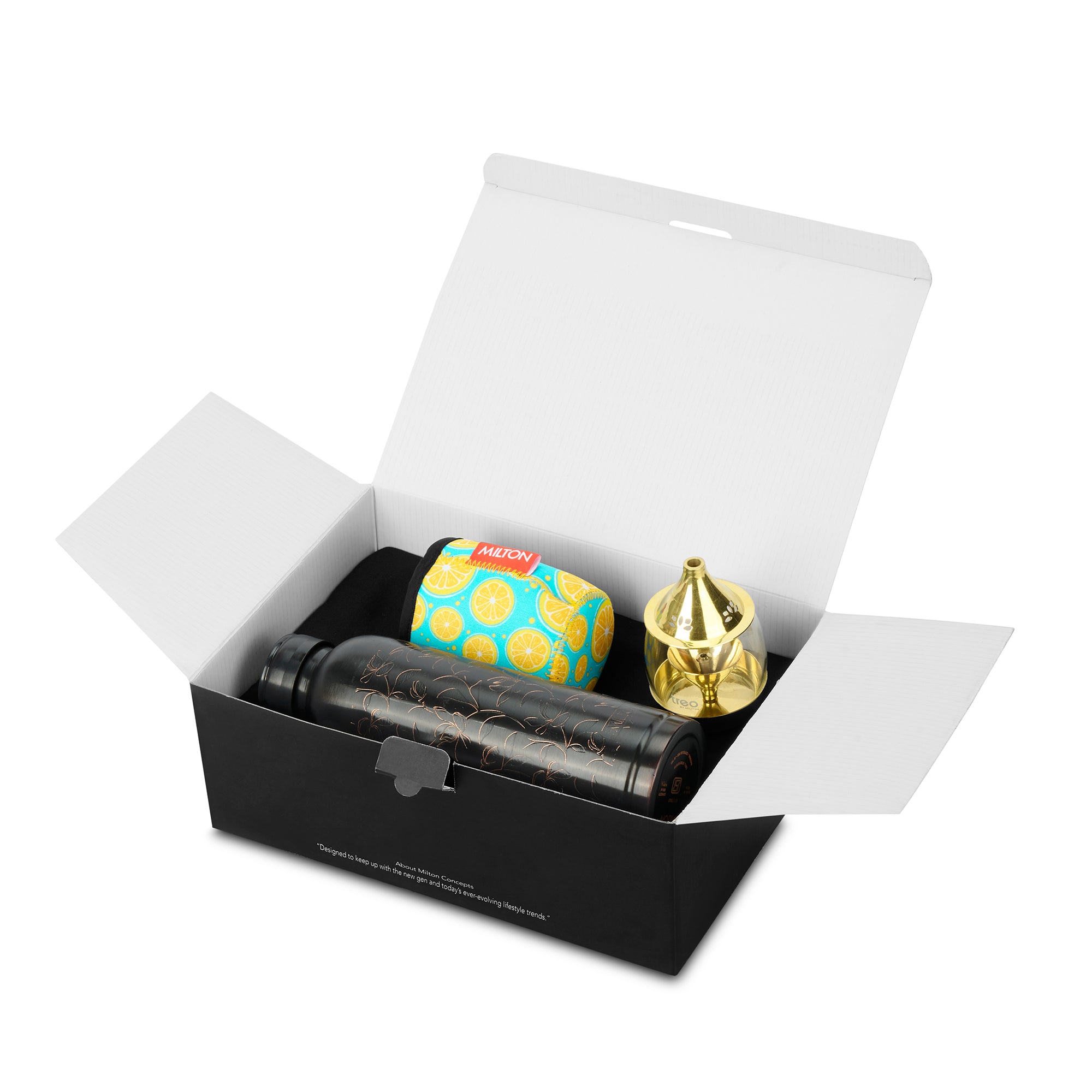 Ayur Copper Pack (Milton Concepts)