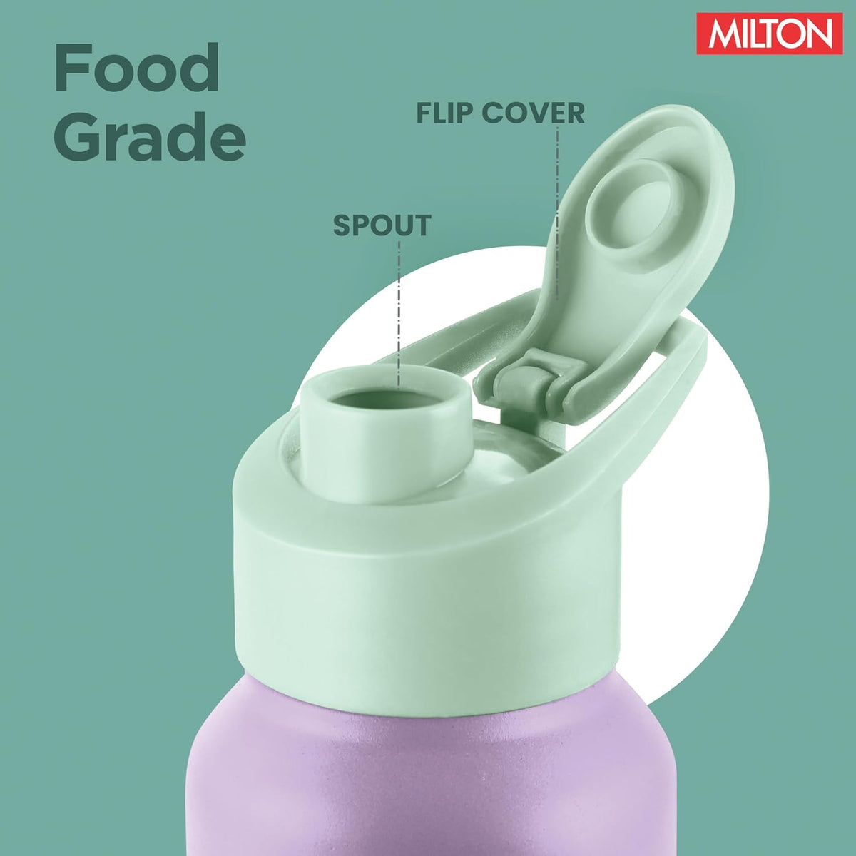 {Purple & Mint Green| 1000 ml}