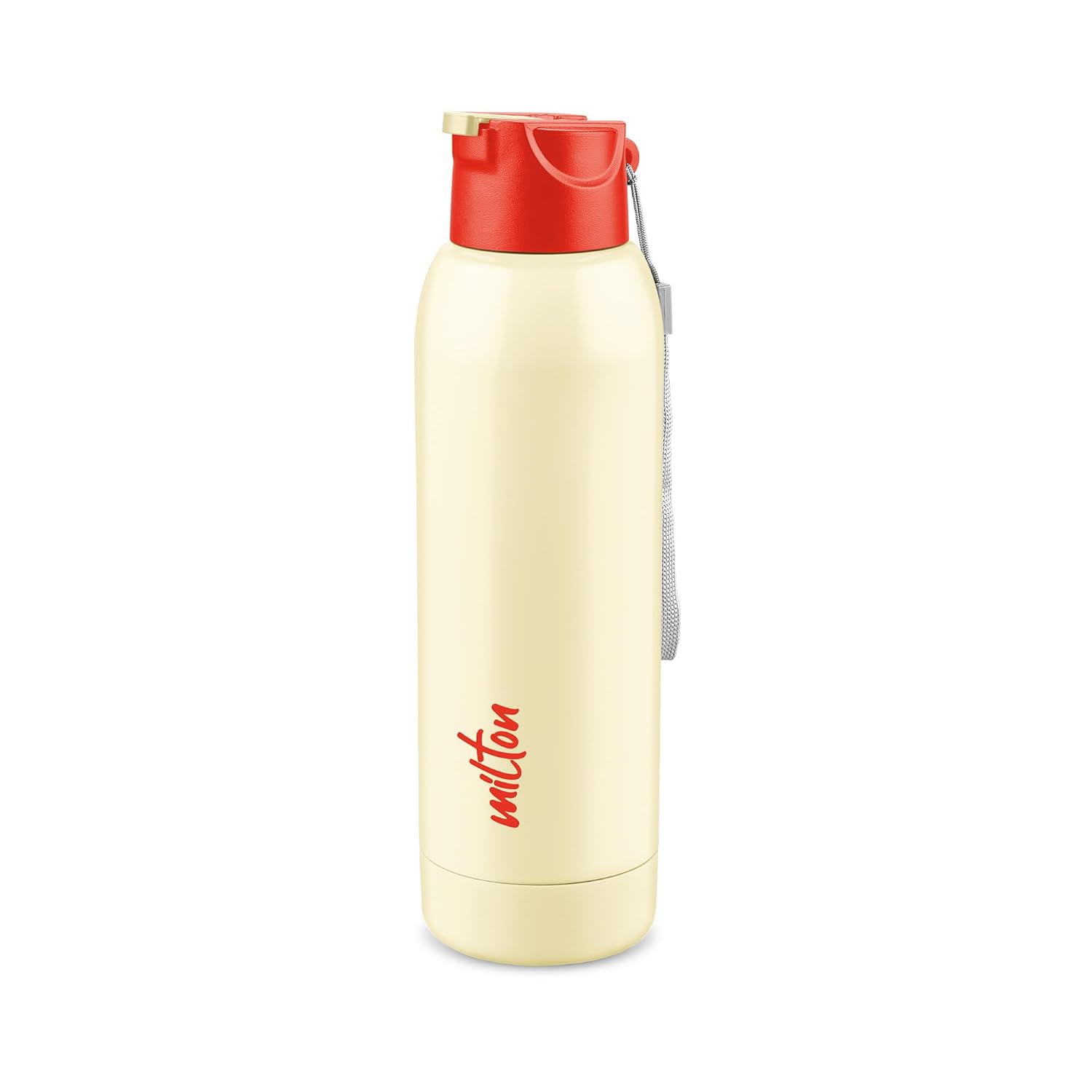 Steel Swag Insulated Water Bottle (Milton)