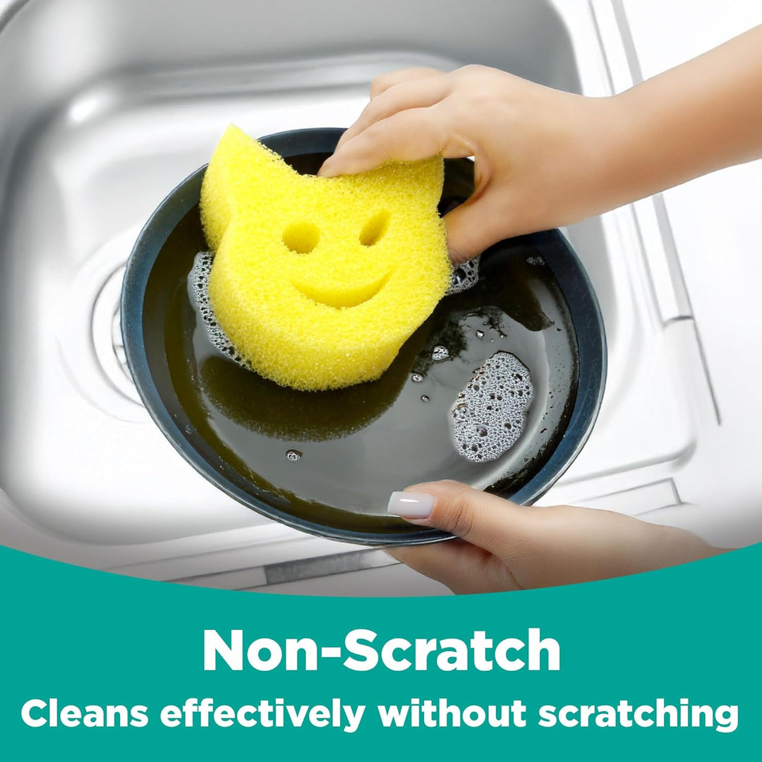 Multi-Shape, Dual-Sided Dish Scrubber - Set of 3 (Spotzero By Milton)