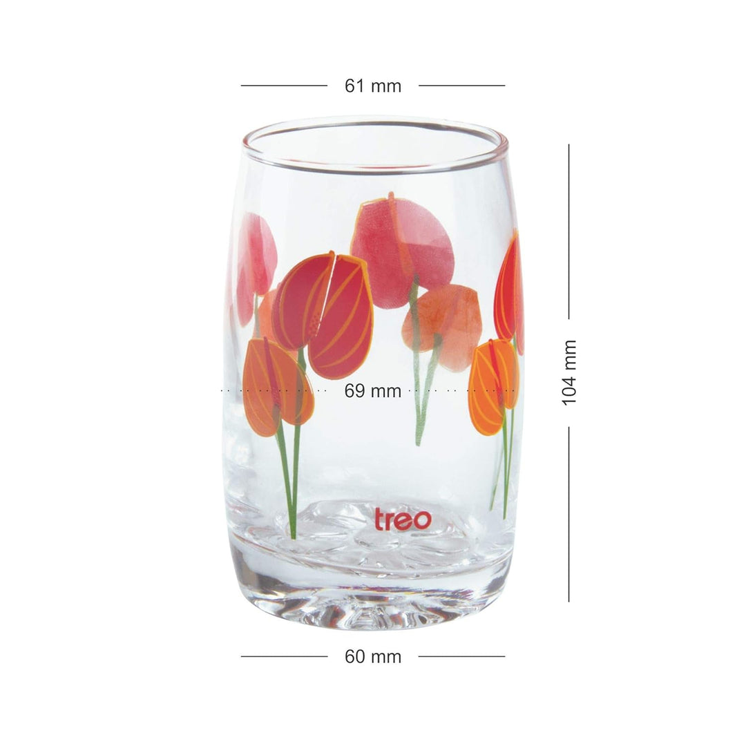 D Ziner Lyon Glass Water Tumbler