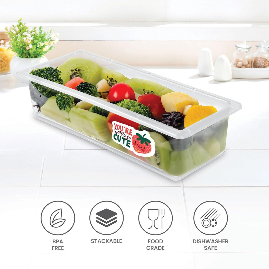Cryo Fridge Storage Boxes Set of 6 Fridge Organizer Container (Milton)