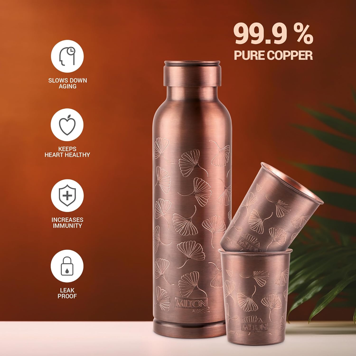 Copper Elegante Water Bottle Gift Set