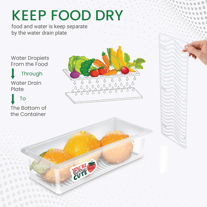 Cryo Fridge Storage Boxes Set of 6 Fridge Organizer Container (Milton)