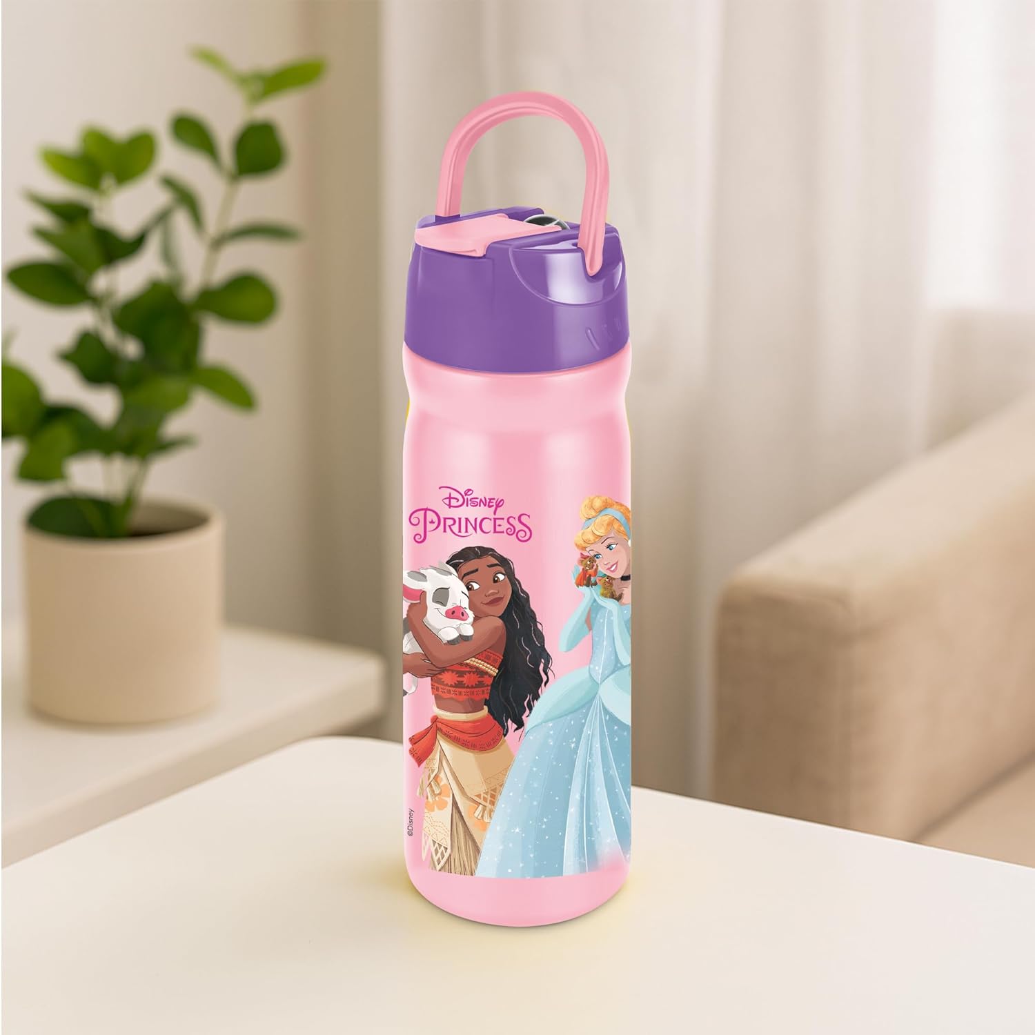 Disney Max Bottle (Milton)