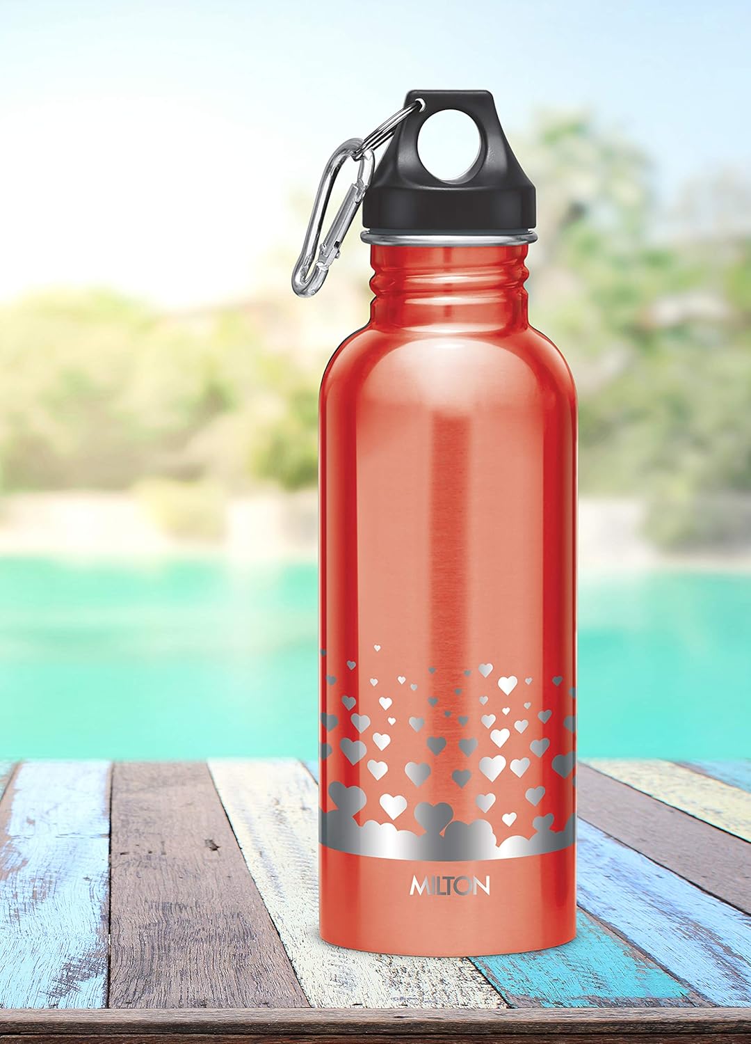 Alive Stainless Steel Bottle (Milton) - CL Sale