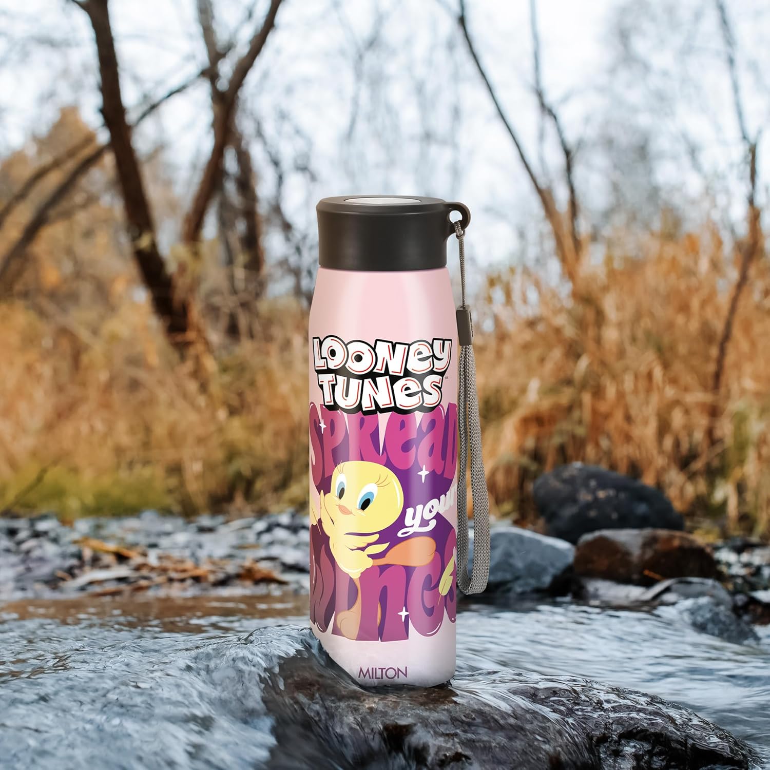 Handy 3D Design Looney Tunes Stainless Steel Bottle (Milton) - CL Sale