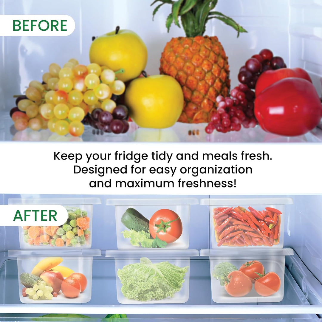 Cryo Fridge Storage Boxes Set of 6 Fridge Organizer Container (Milton)