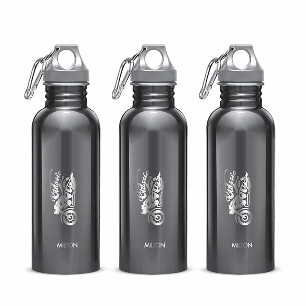 Alive Stainless Steel Bottle by Milton