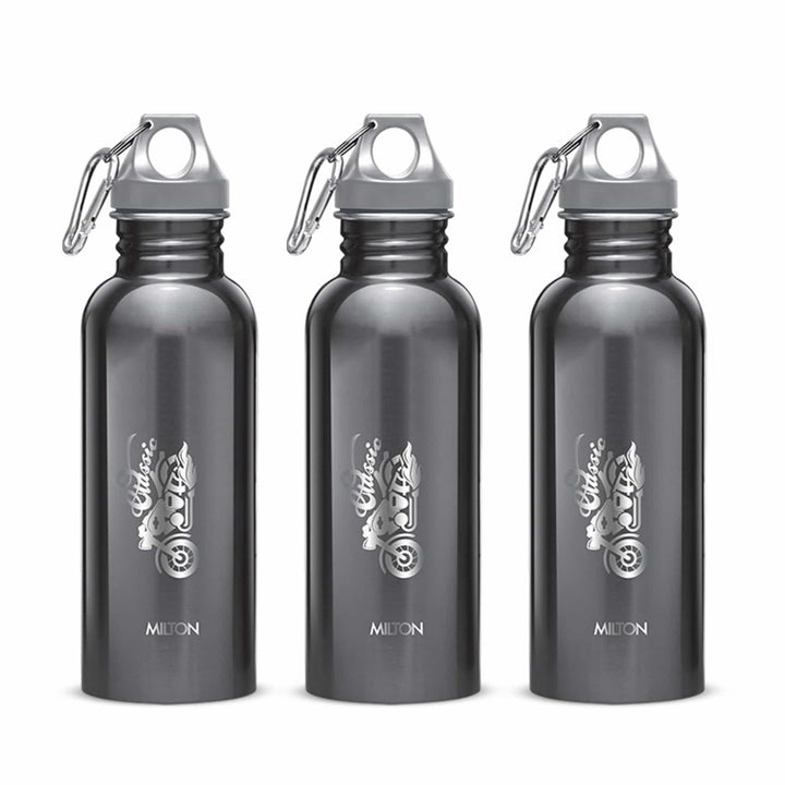 Alive Stainless Steel Bottle by Milton