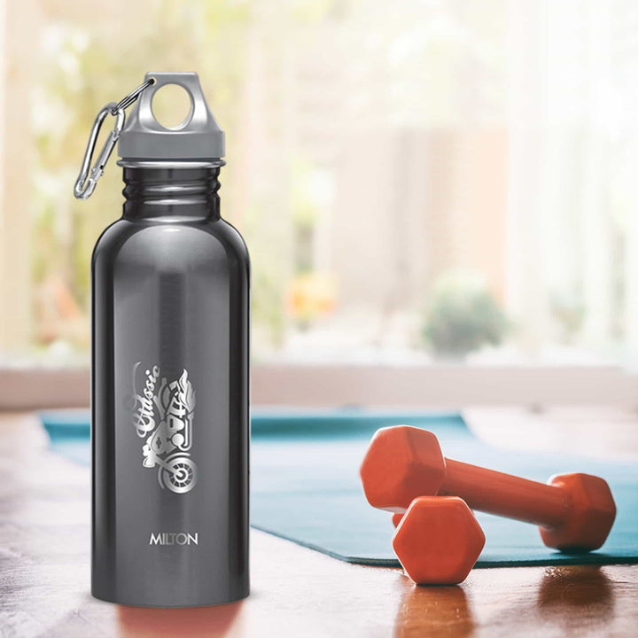 Alive Stainless Steel Bottle