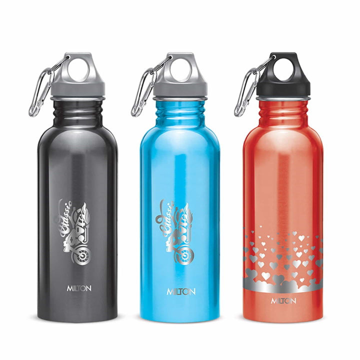 Alive Stainless Steel Bottle by Milton