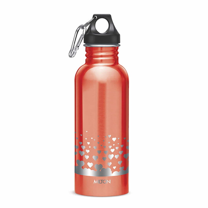 Alive Stainless Steel Bottle