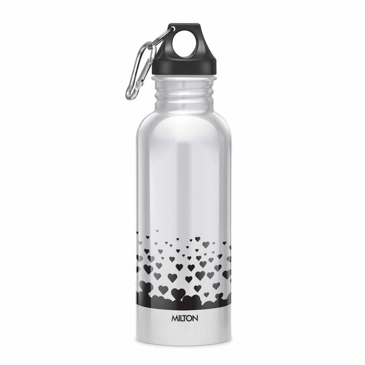 Alive Stainless Steel Bottle by Milton