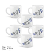 {6 Pcs | 180 ml}