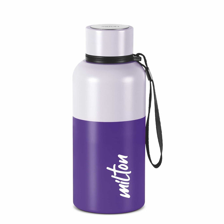 Ancy Thermosteel Water Bottle Purple