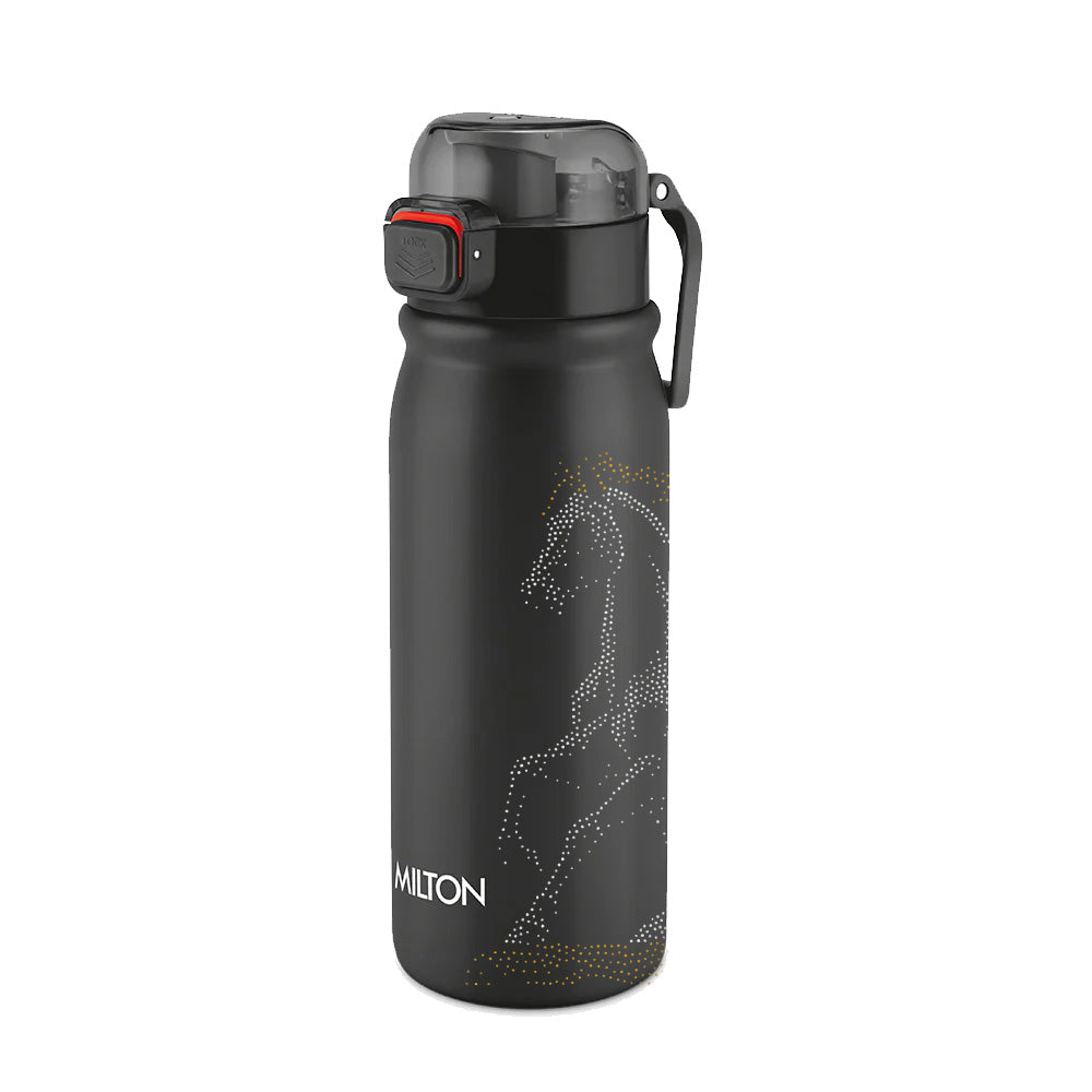 Reva UV Design Stainless Steel Bottle - (Milton)