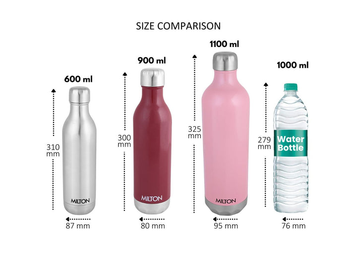 Bliss Thermosteel Bottle (Milton)
