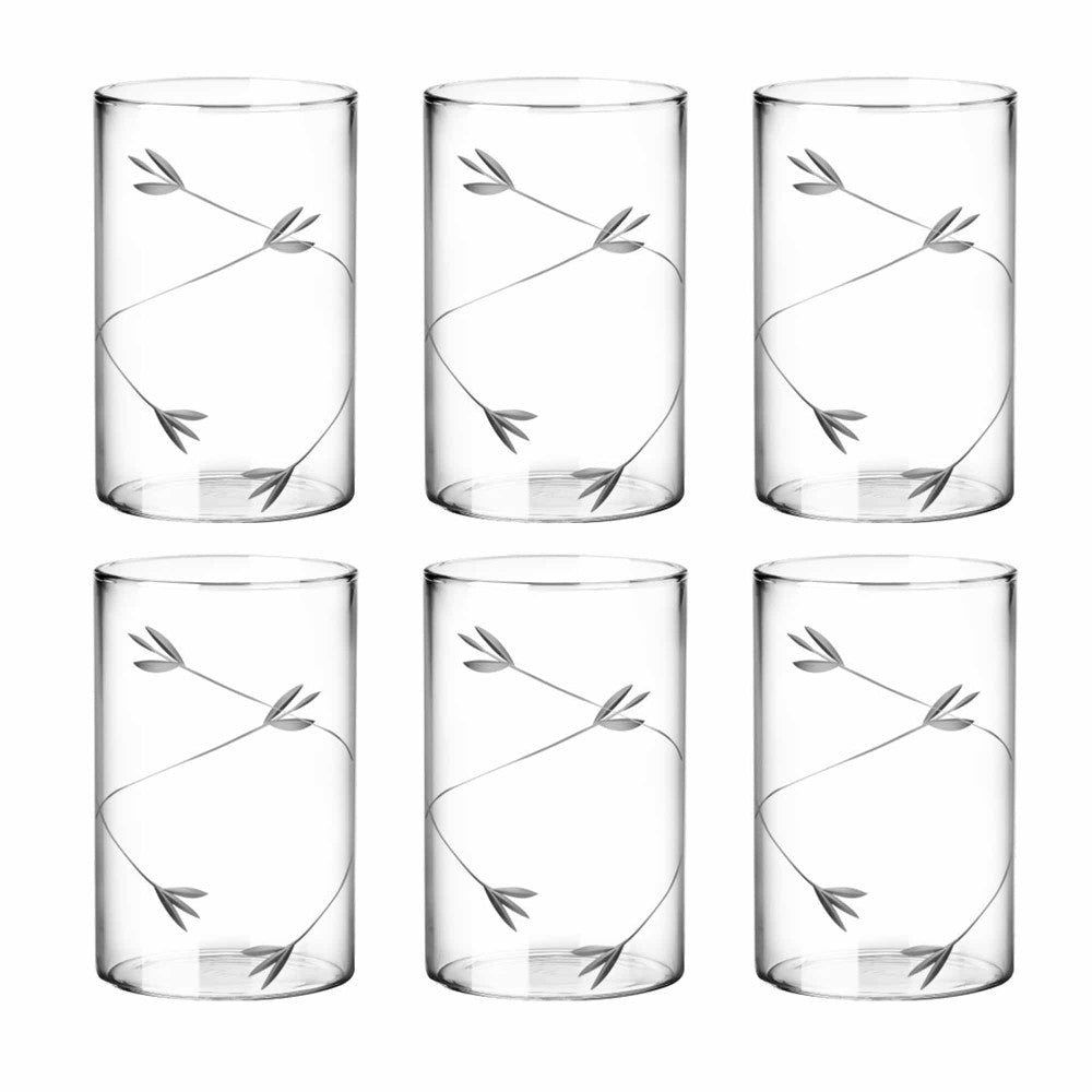 Borosilicate Decorative Vector Glass Tumbler