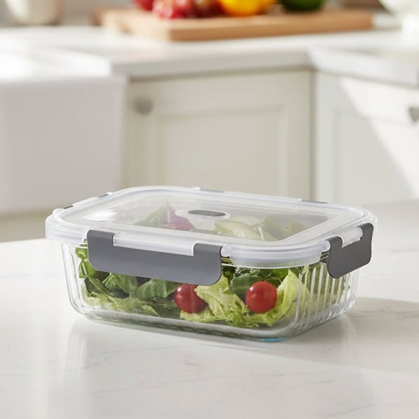 Borosilicate Clip Fresh Rib Rectangular Container (Treo by Milton)