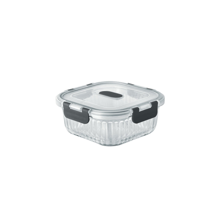 Borosilicate Clip Fresh Rib Square Container (Treo by Milton)