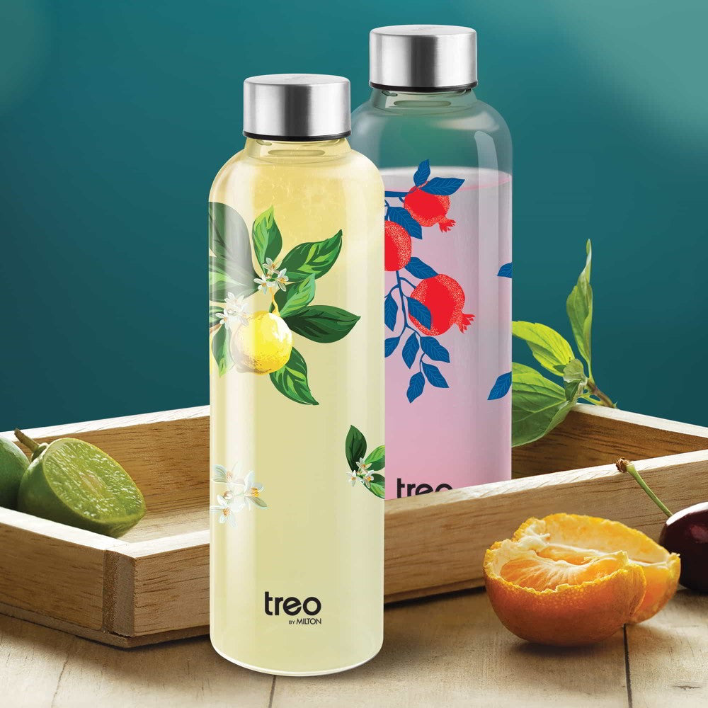 Dziner Clarion Boro Water Bottle