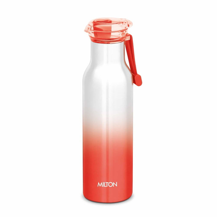 Elan Stainless Steel Flask (Milton)