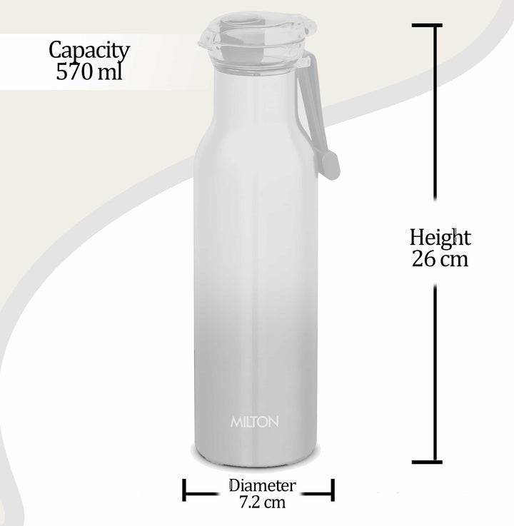 Elan Stainless Steel Flask (Milton)