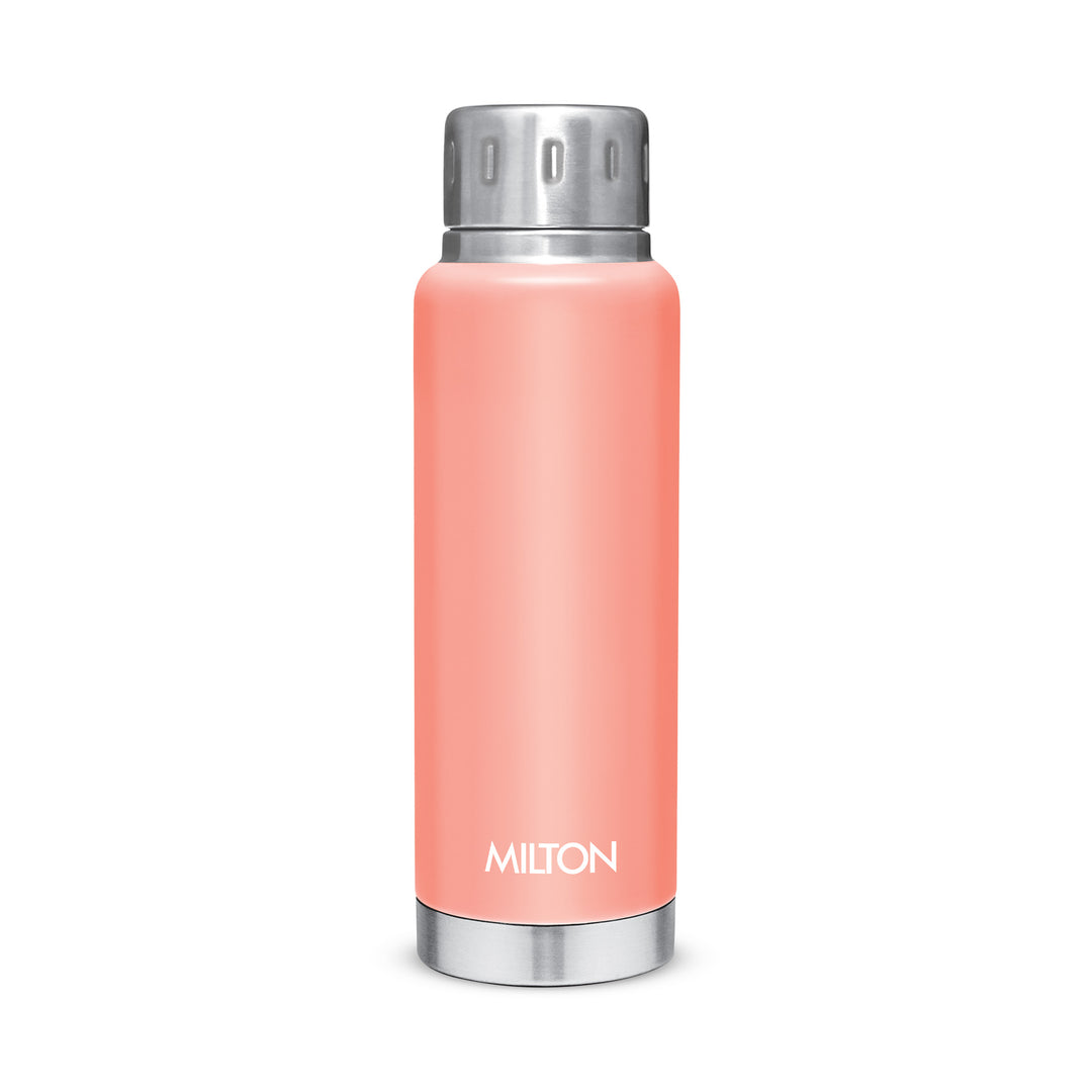 Elfin Thermosteel Bottle (Milton)