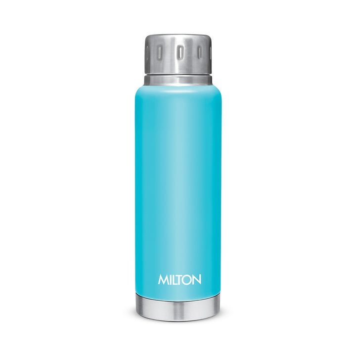 Elfin Thermosteel Bottle (Milton)