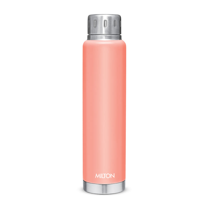 Elfin Thermosteel Bottle (Milton)