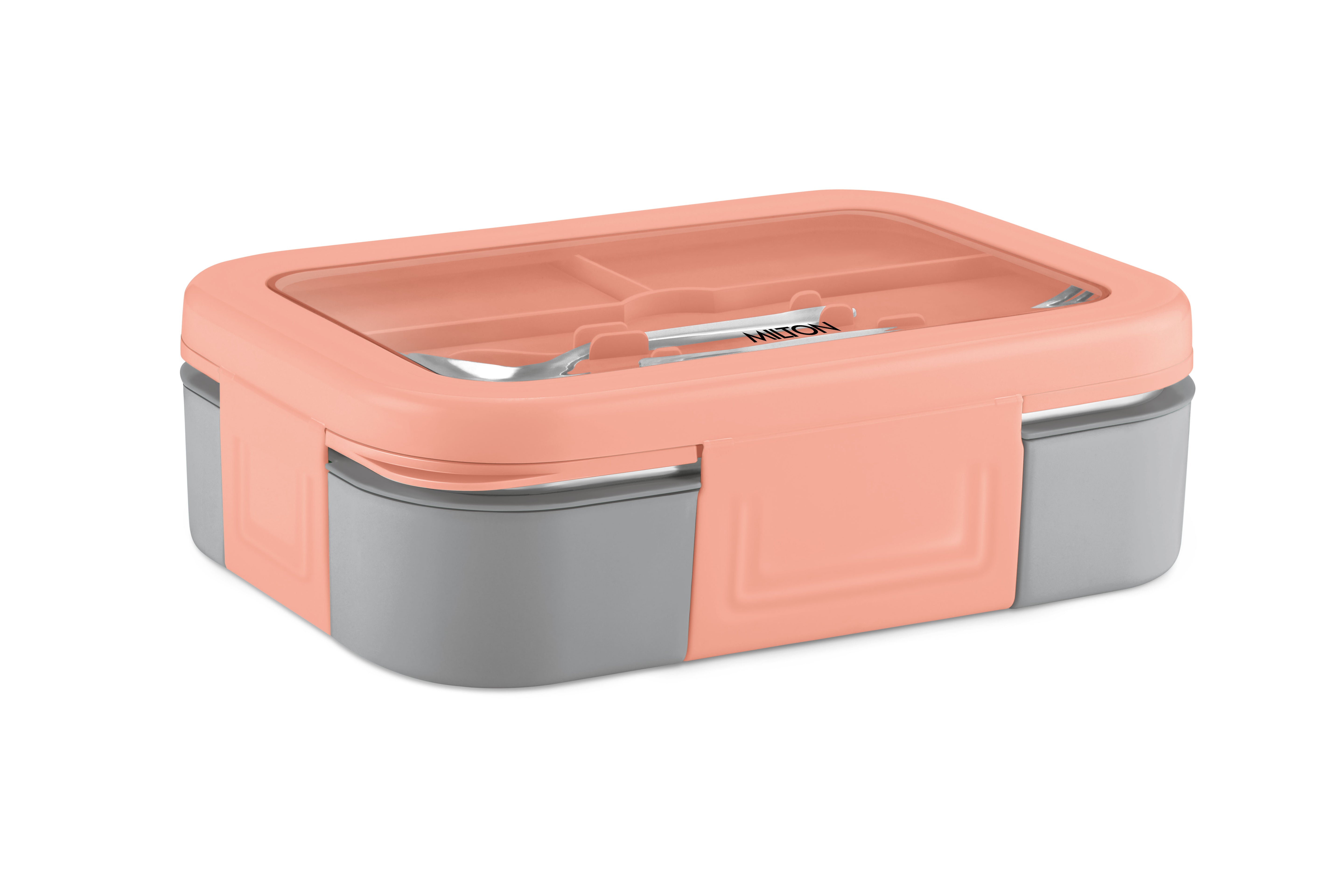 Ethan 2 Steel Thermoware Lunchbox (Milton)