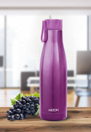 Fame Thermosteel Bottle (Milton)