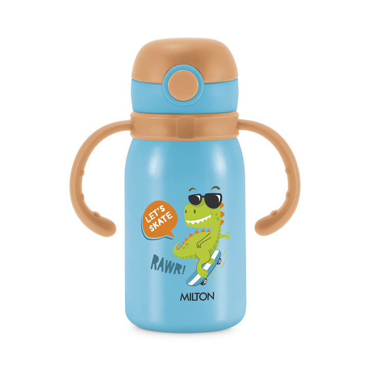 Buy Milton Fountain Stainless Steel Bottle