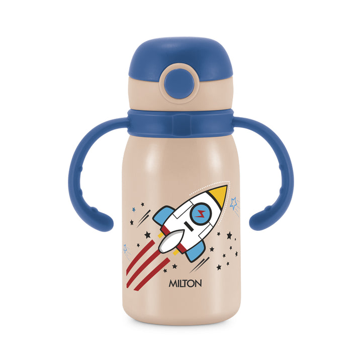 Shop Milton Fountain Stainless Steel Bottle