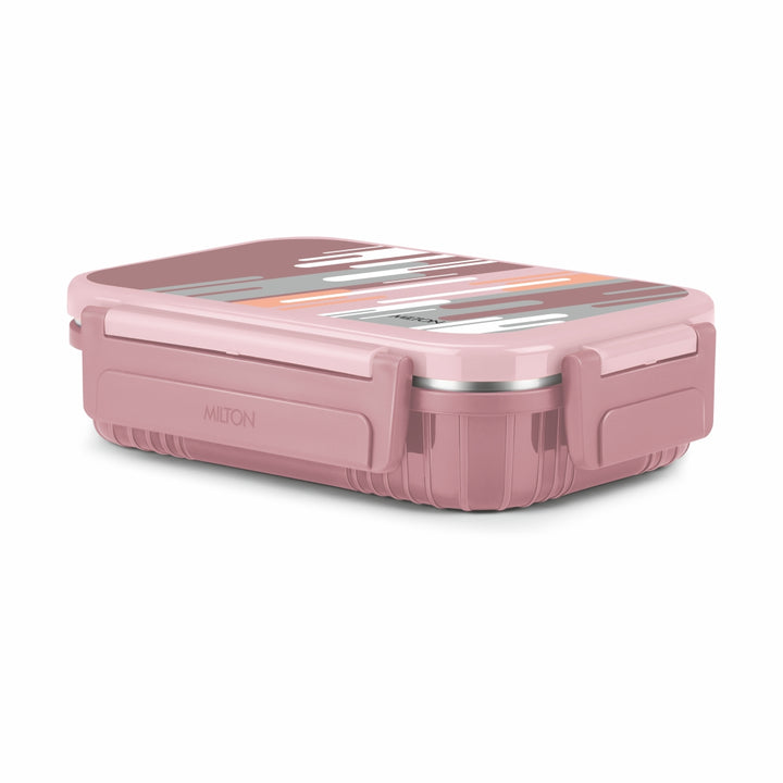 Fun Feast Lunch Box 2 compartments