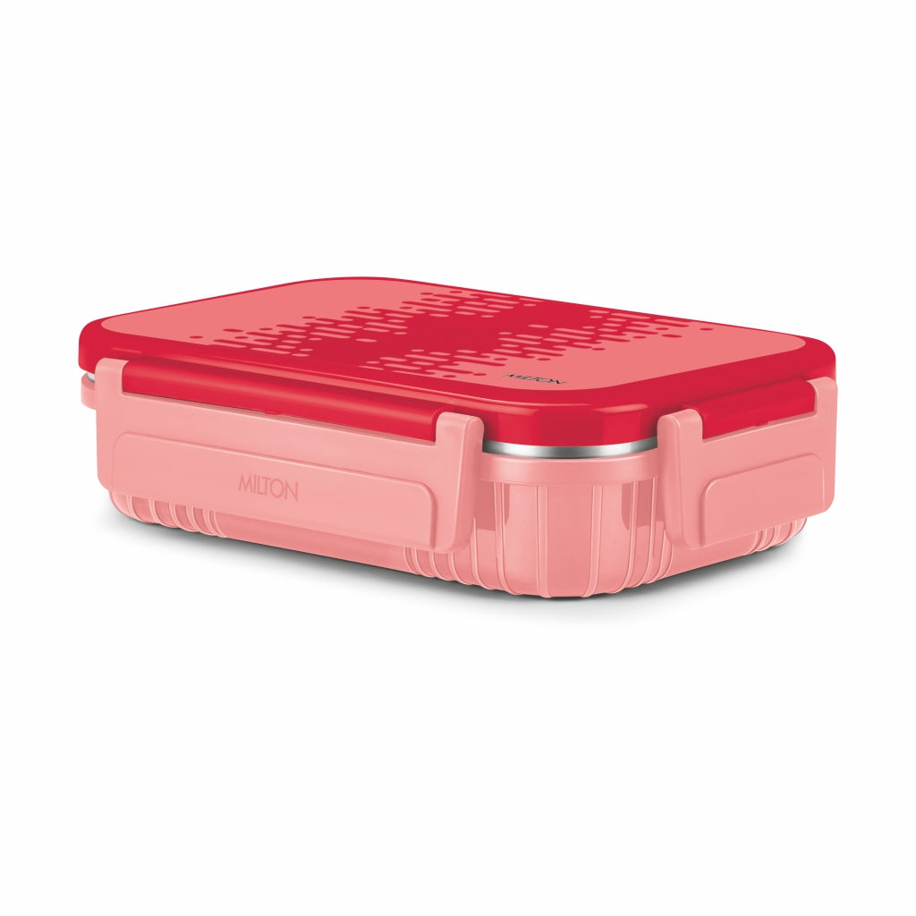 Fun Feast Lunch Box 2 compartments