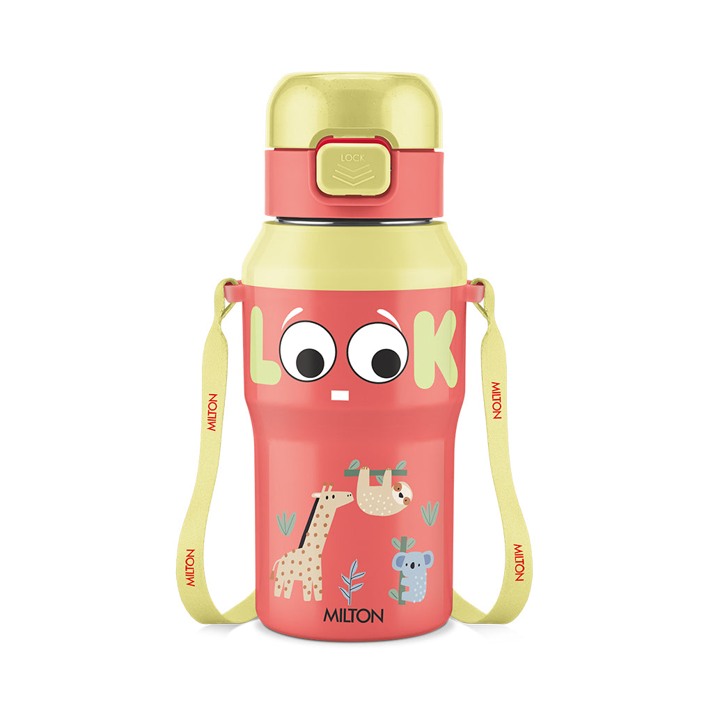 Steel Helio Thermoware Bottle (Milton)