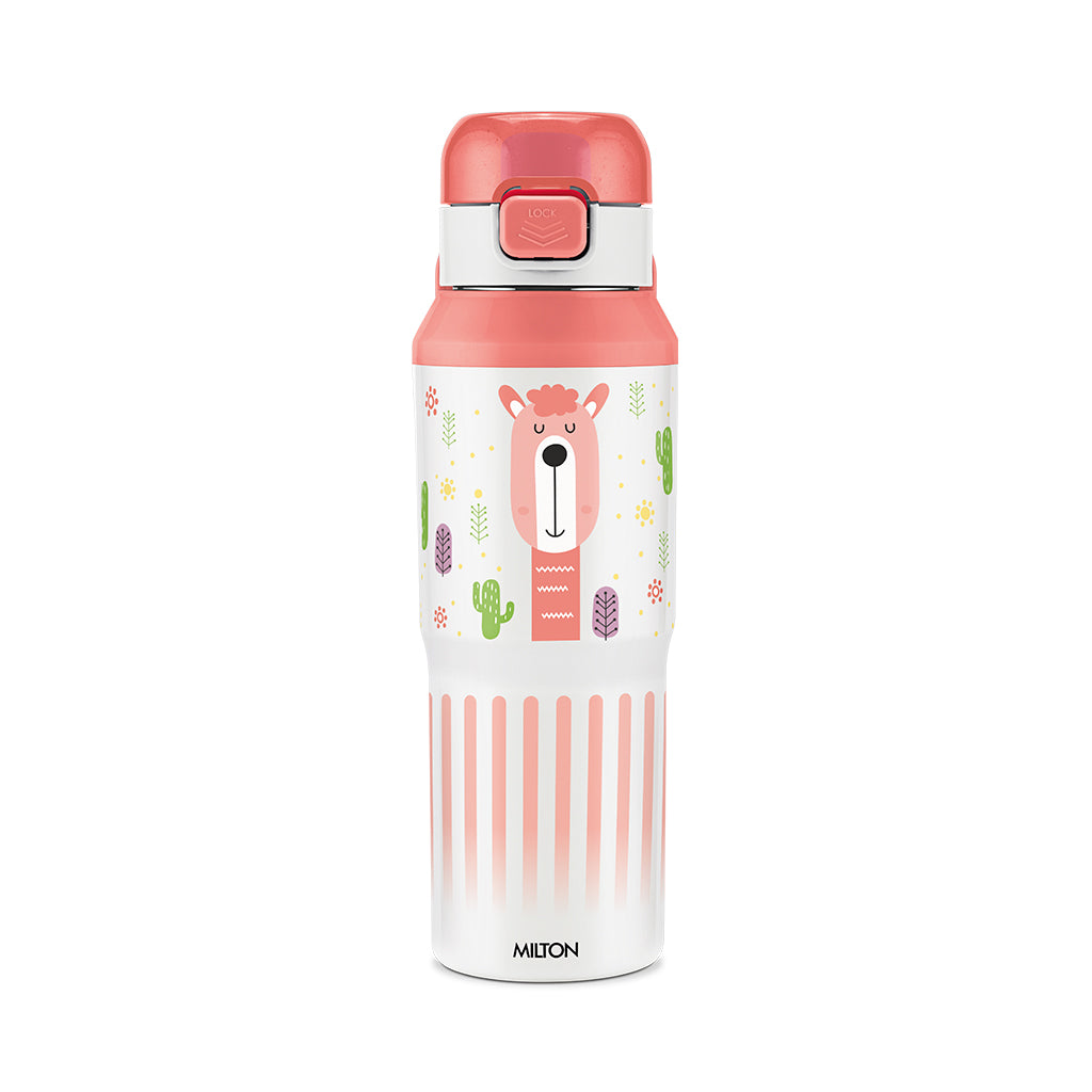 Steel Helio Thermoware Bottle (Milton)