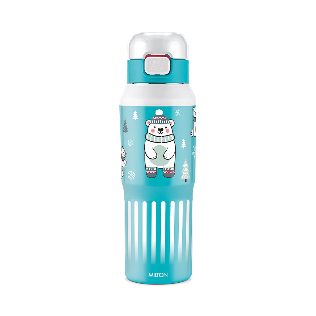 Steel Helio Thermoware Bottle (Milton)