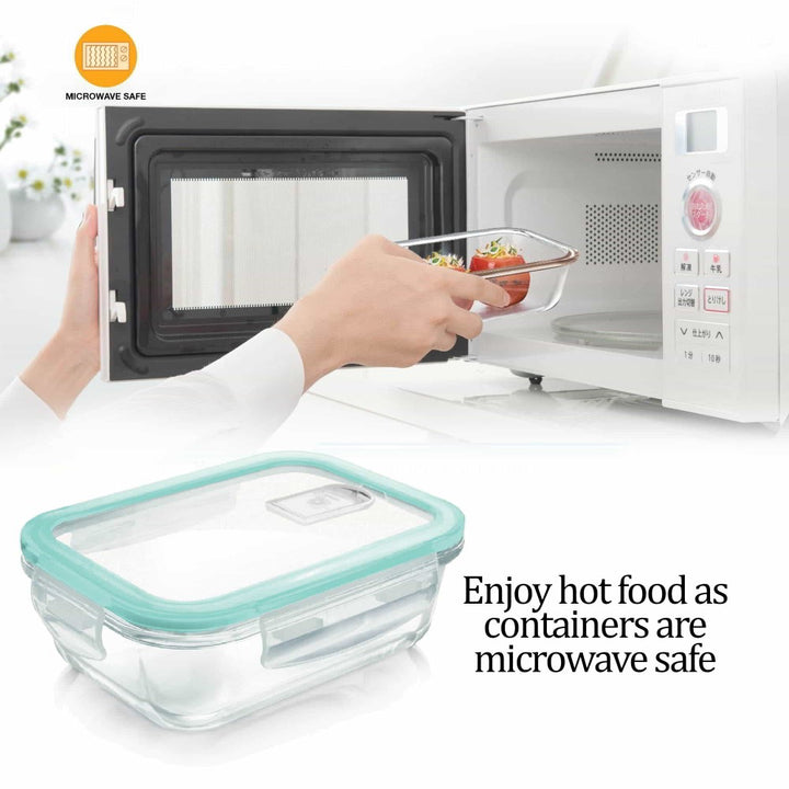 Hi Borosilicate Clip Fresh Rectangular Container (Treo by Milton)