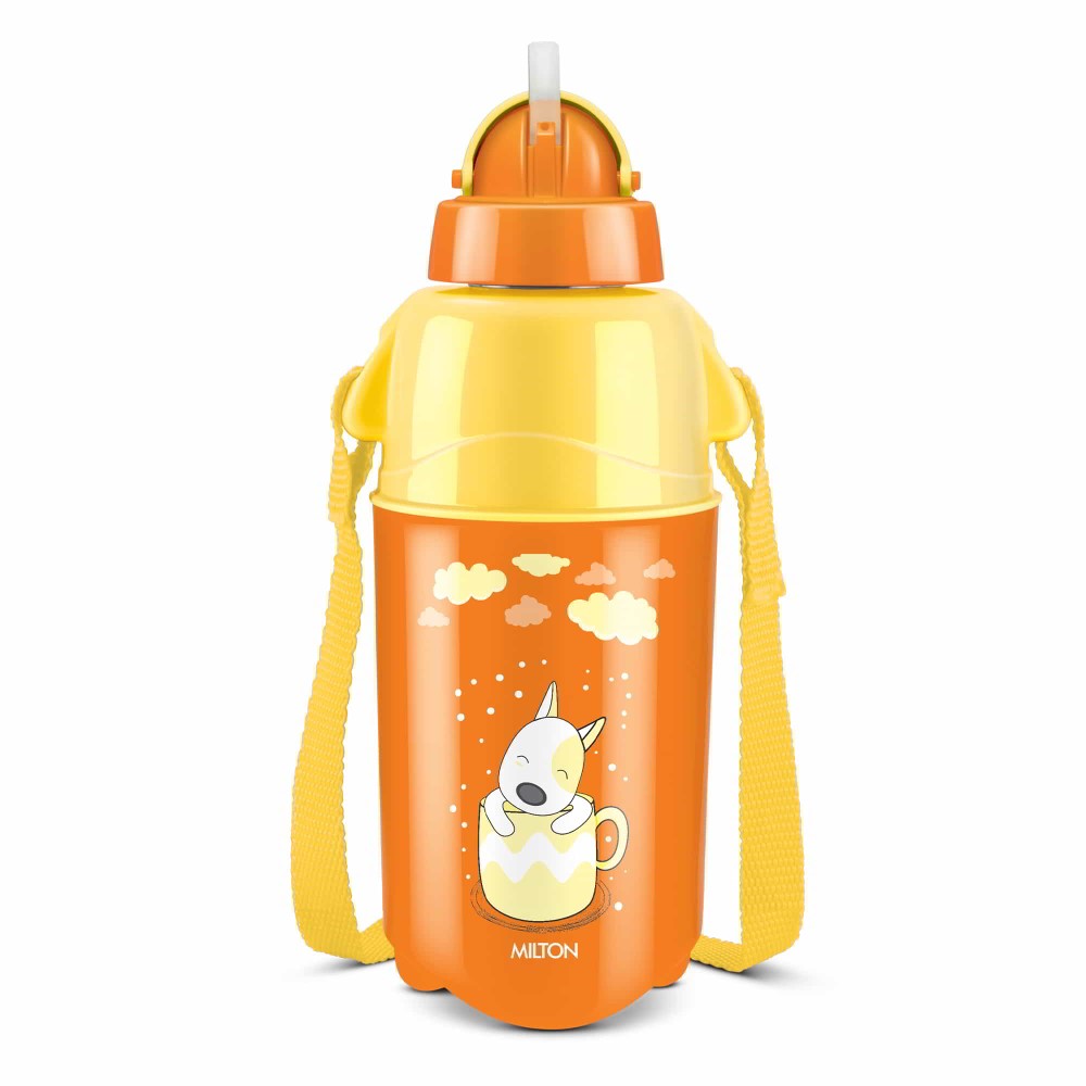 Kool Trendy Bottle (Milton)