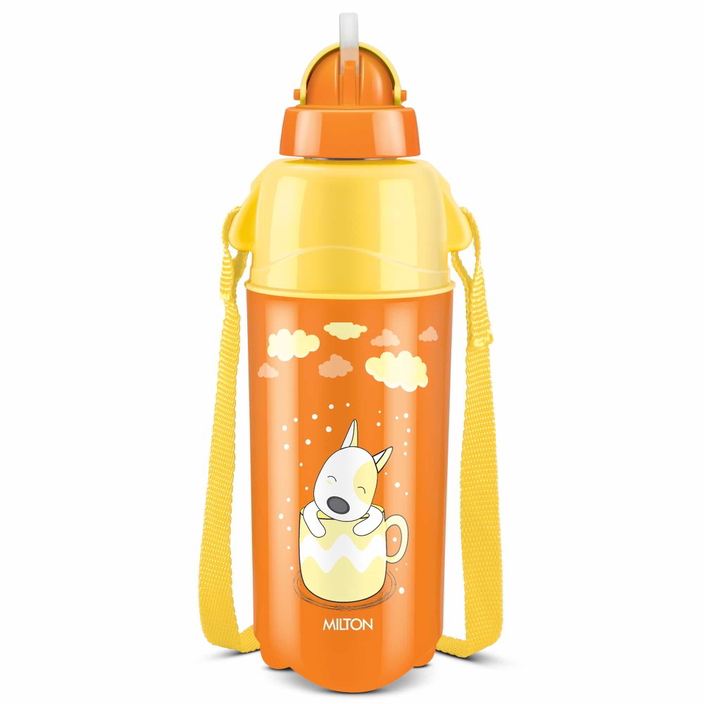 Kool Trendy Bottle (Milton)