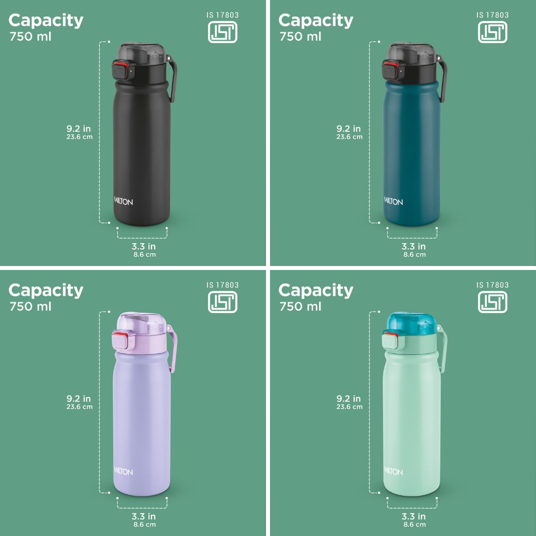 Reva Stainless Steel Bottle (Milton)