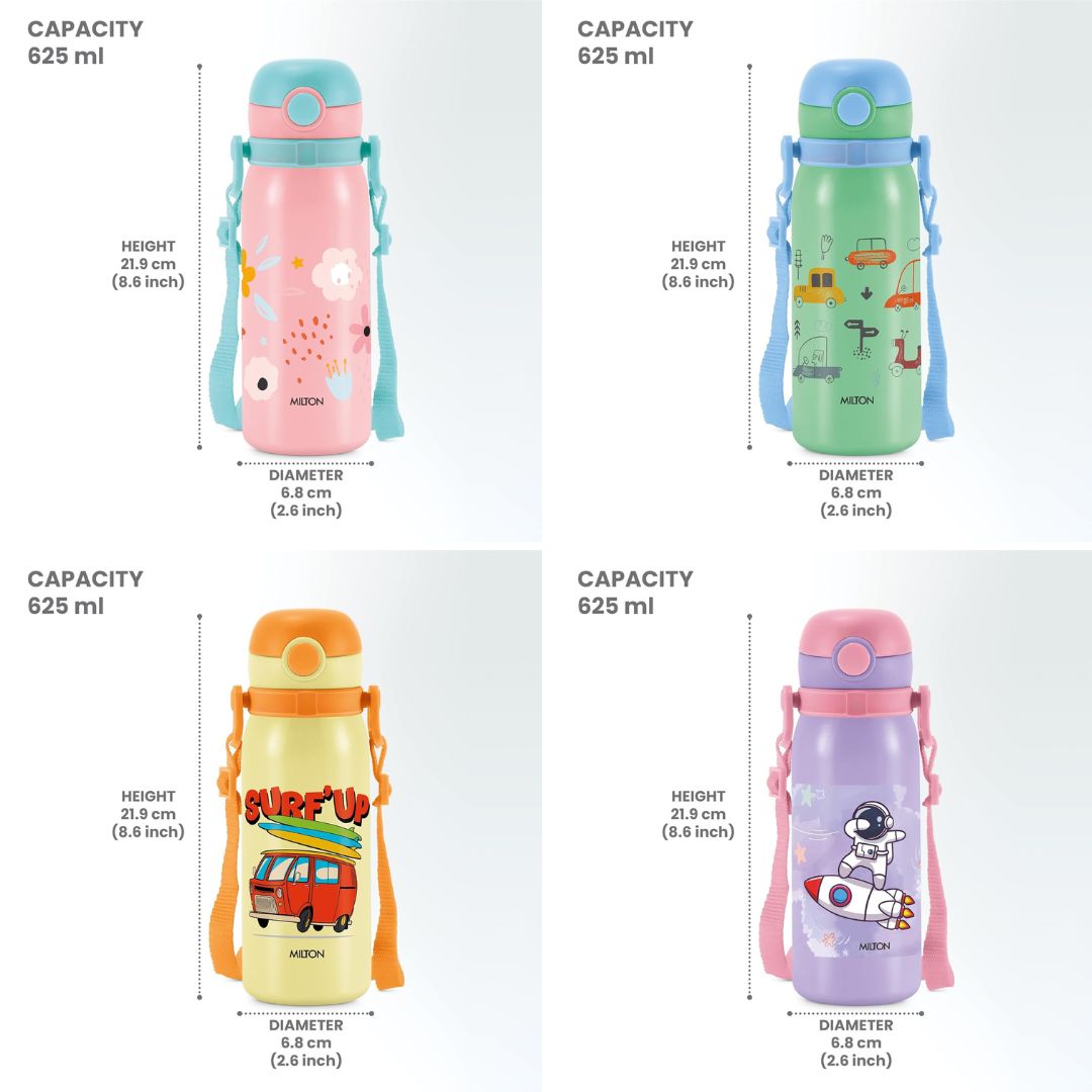 Torque Stainless Steel Bottle (Milton)