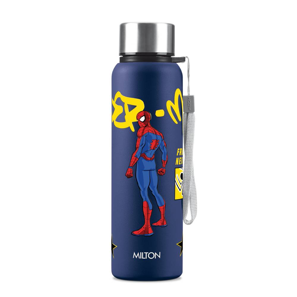 Marvel Brim Stainless Steel Bottle (Milton)